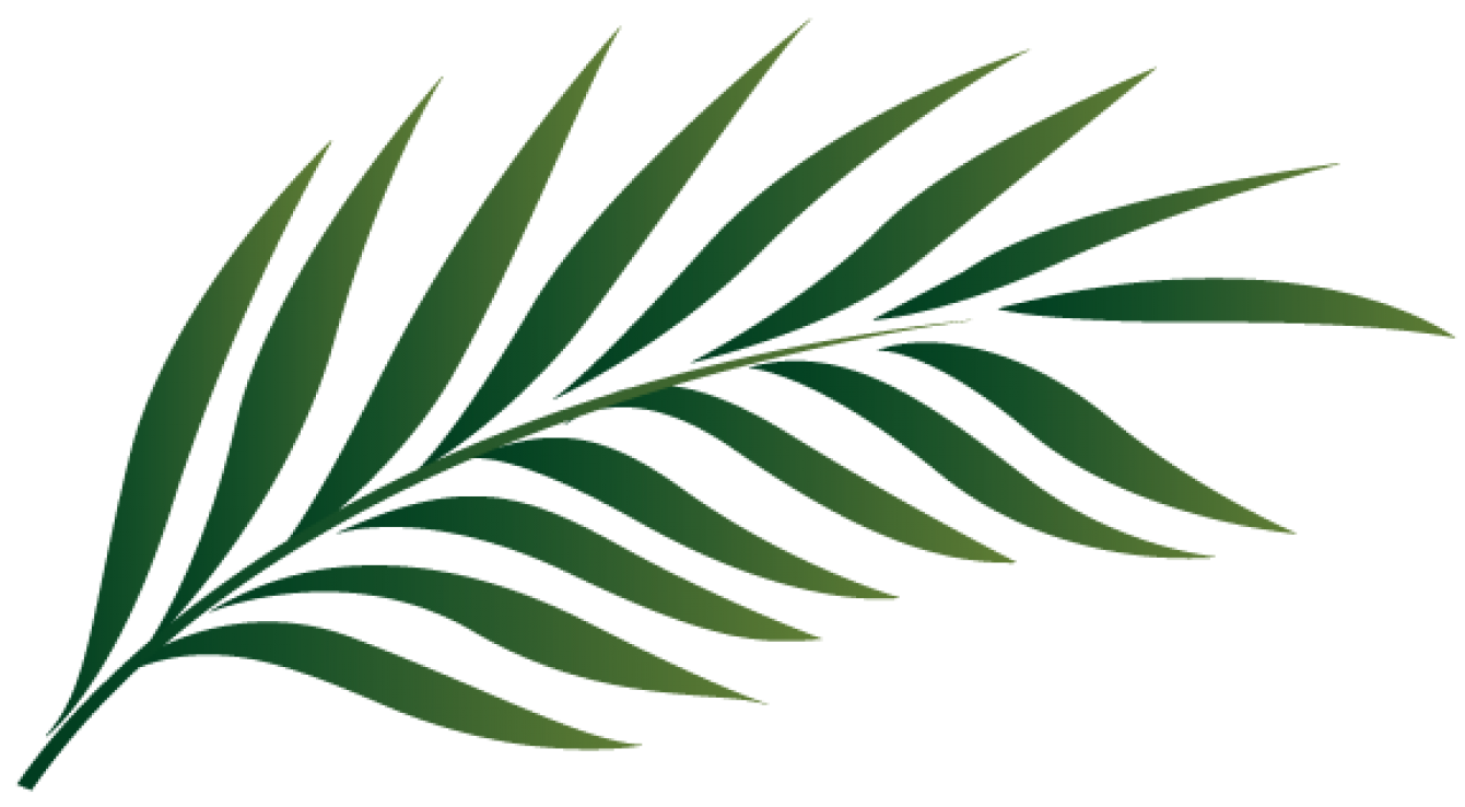 Printable Palm Leaf Outline / DIY Tropical Leaves Art - Think Crafts by